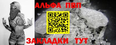 ешки Кингисепп