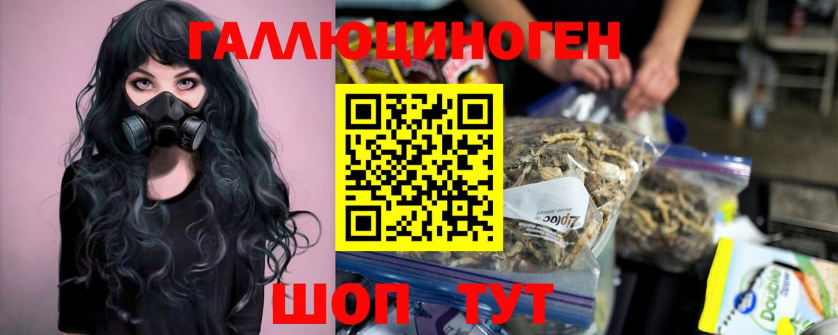 Псилоцибиновые грибы Psilocybe  Вход с VPN  Корсаков 
